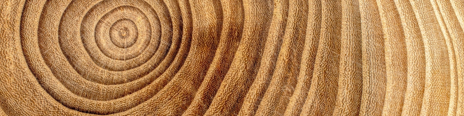 Wood and its features