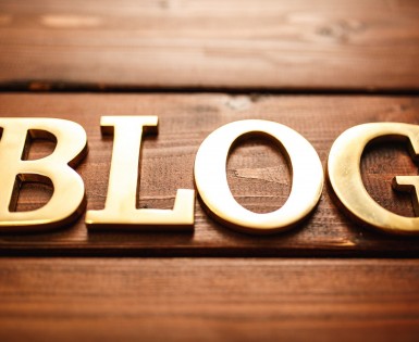Our favourite blogs