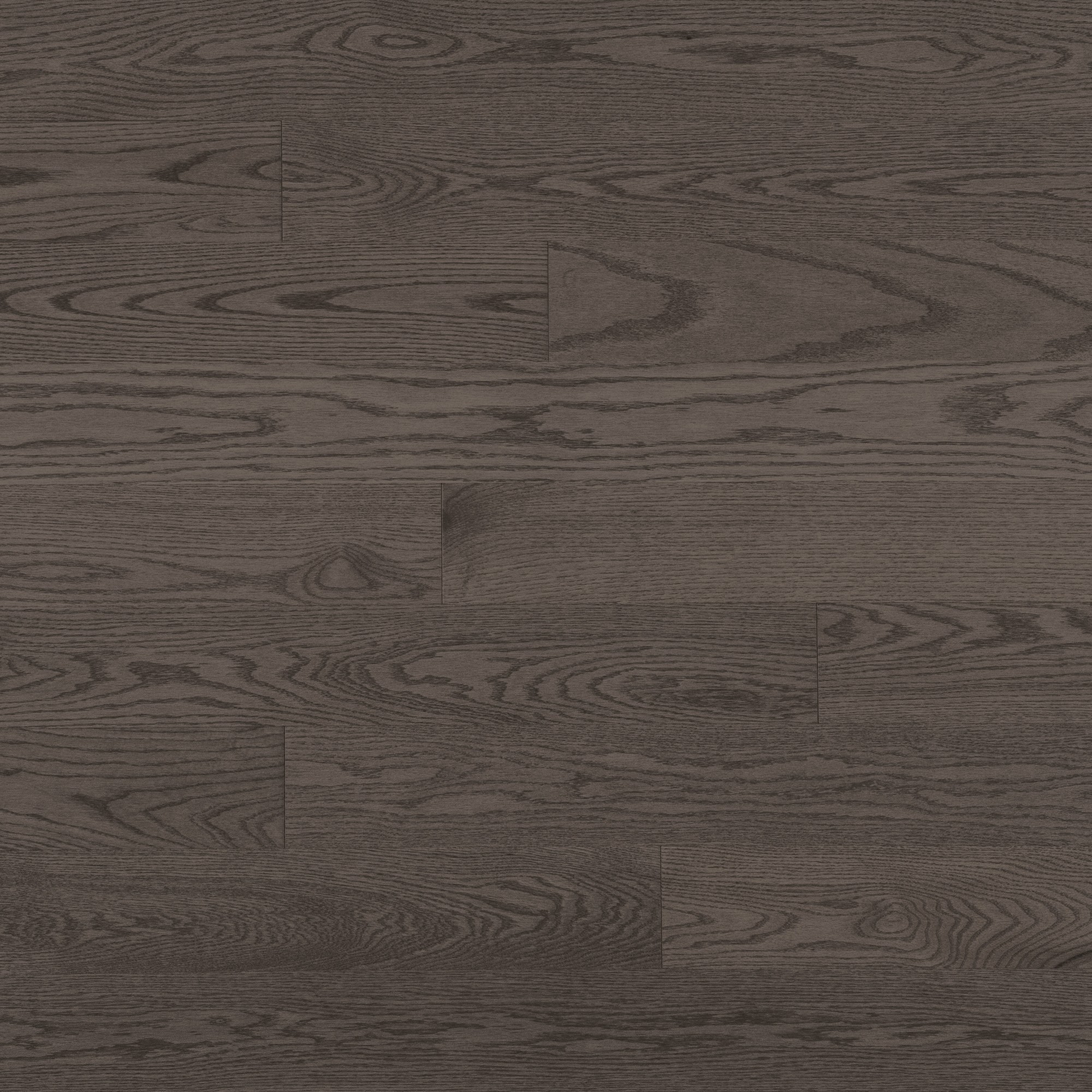 Red Oak Charcoal Exclusive Smooth - Floor image