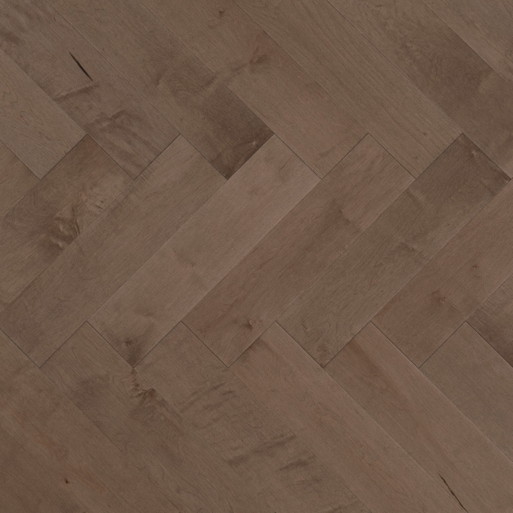 Maple Greystone Exclusive Smooth - Floor image