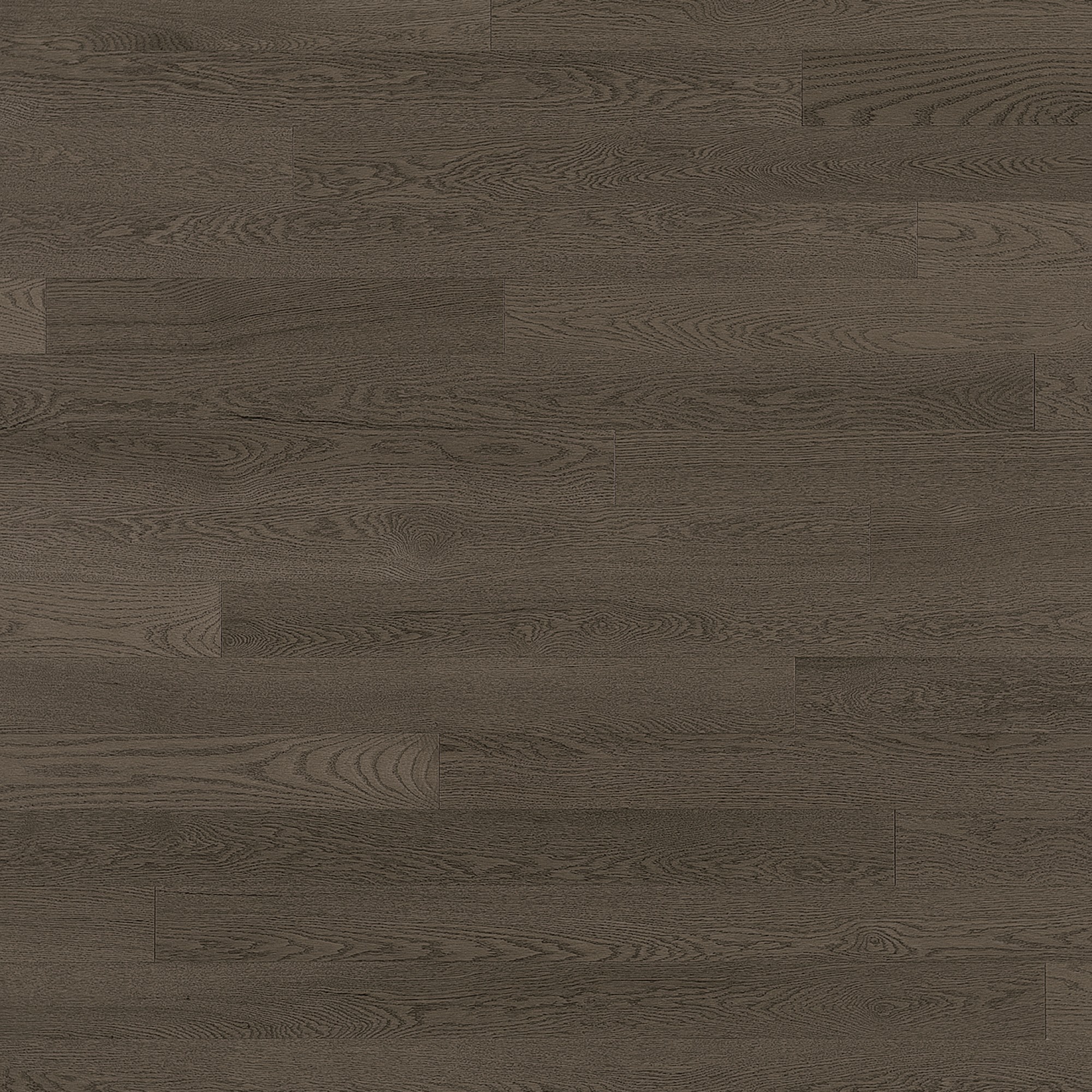 Red Oak Platinum Exclusive Smooth - Floor image